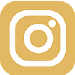 Logo instagram